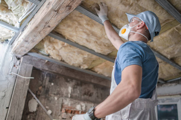 Best Cellulose Insulation in Lakemont, PA