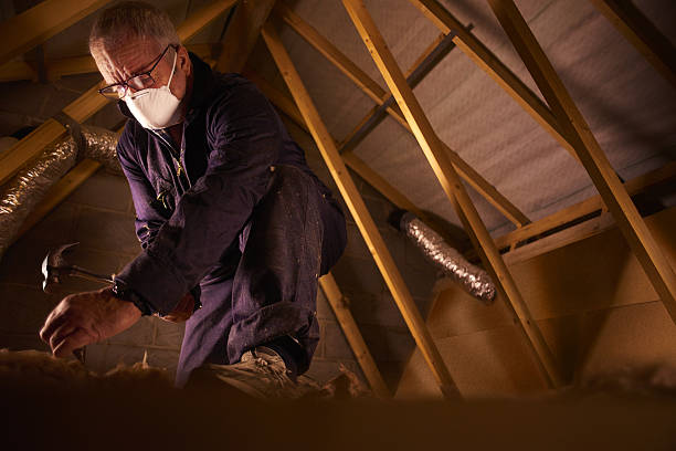 Professional Insulation Contractor in Lakemont, PA