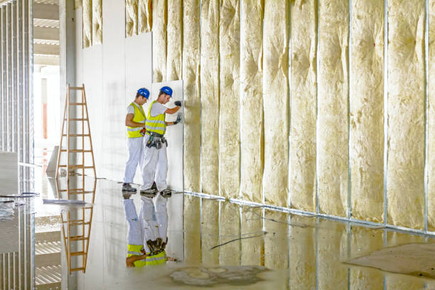 Best Commercial Insulation in Lakemont, PA